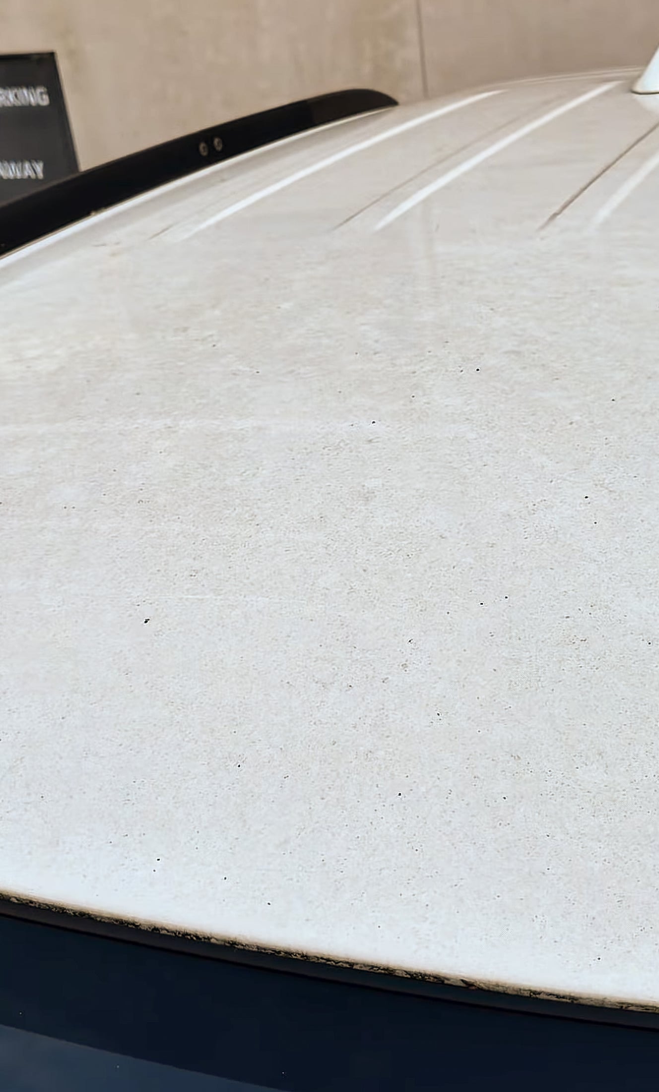 Paint — before