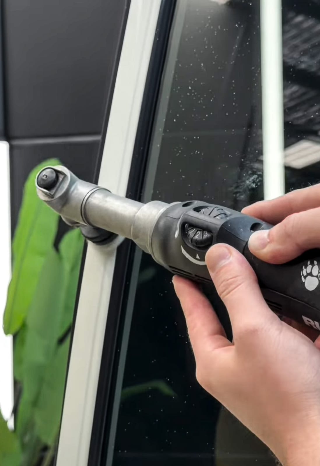 Window Tinting